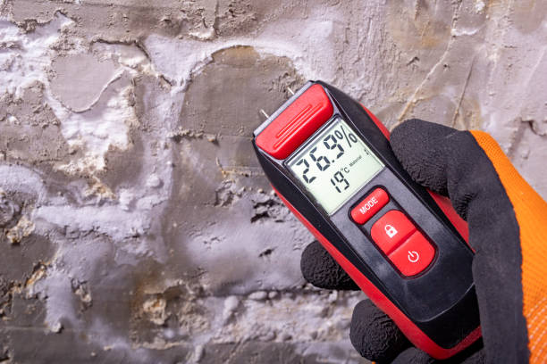 Best Mold Testing  in Roscoe, TX