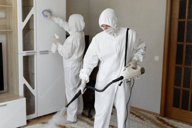 Best Professional Mold Removal  in Roscoe, TX
