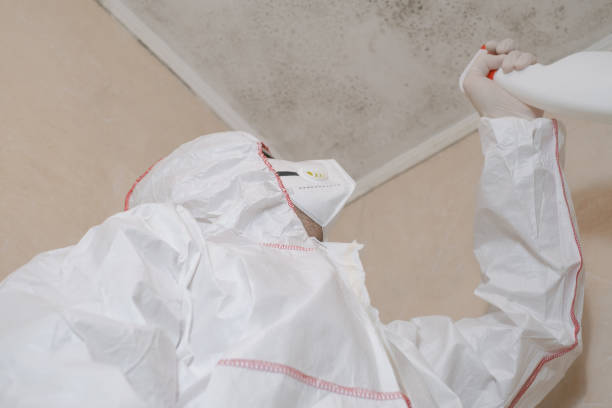 Best Local Mold Removal Service  in Roscoe, TX