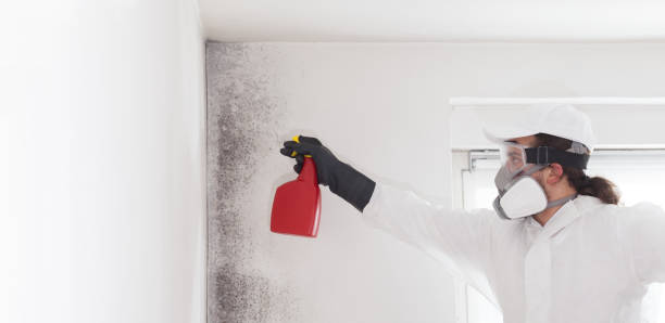 Best Home Mold Removal  in Roscoe, TX